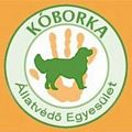 120_logo