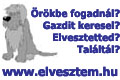 elvesztem_120_80