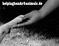 helpinghands w
