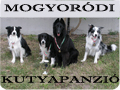 mogyorodik