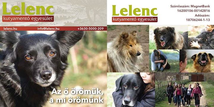 Lelenc_prosi_kep