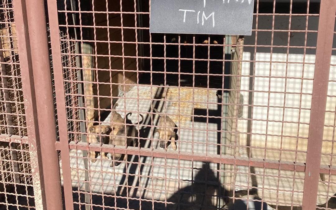 Tami, Tini, Trixi, Tina, Tim.