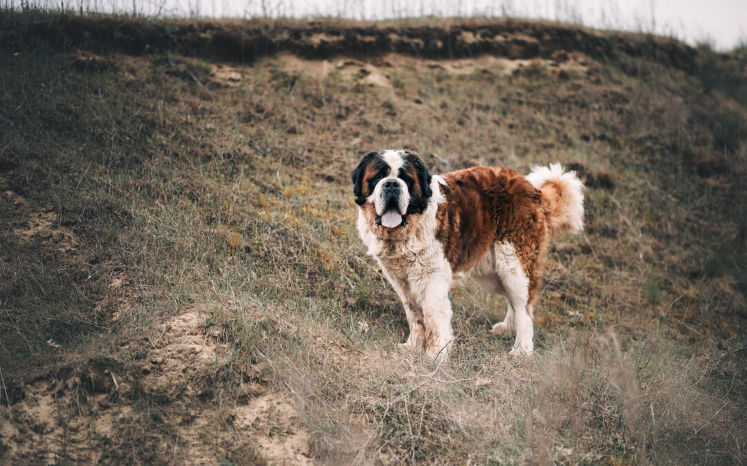 Athos