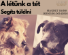 Kérünk, mentsd meg a Lelencet!
