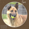 Léna